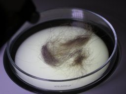 Półkolonie letnie 2025